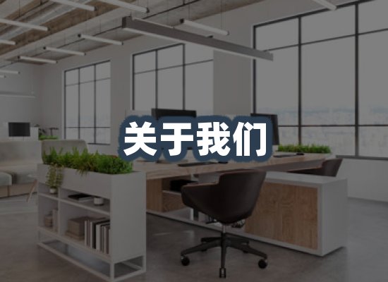关于我们