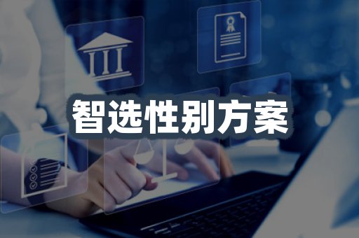 智选性别方案